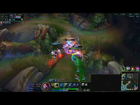 Professional SINGED 25.8.2021