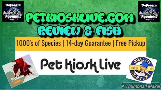 Petkiosklive.com - More Fish than You Could Ever Imagine