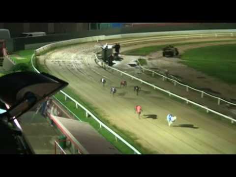 2017 WILLIAM HILL PETERBOROUGH DERBY - HEAT 4 - T2 BIT VIEW COLIN