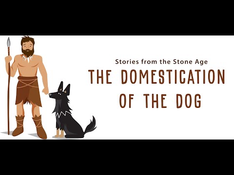 Stories from the Stone Age: The Domestication of the Dog