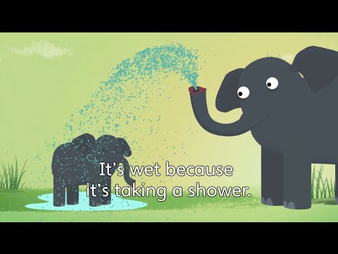 Cause and Effect with 'Why' and 'Because'