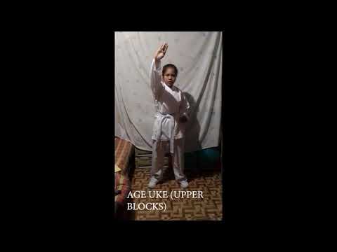 SHOTOKAN KARATE FOLLOW ALONG CLASS - 9th KYU WHITE BELT - CLASS # 1 & 2