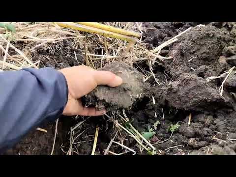 Плуг 2-25 Виракс Украина двухкорпусный правый для минитрактора - фото 1 - id-p1984575200