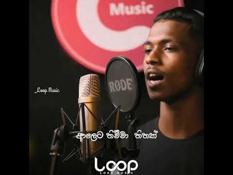 Aheliya Mala ( ඇහැළියා මල ) - Uzi Senadeera x Dilki Uresha _ Lyrics Video Music Loop Academy.