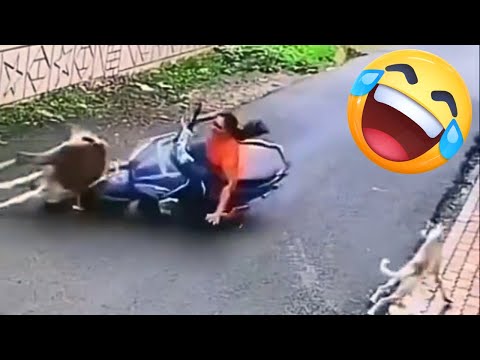 Compilação De Vídeos Engraçados 2025 😂 TENTE NÃO RIR #1