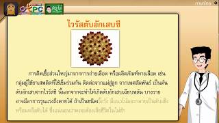 สื่อการเรียนการสอน อ่านเสริมเติมความรู้เรื่อง ไวรัสตับอักเสบ ป.6 ภาษาไทย
