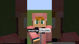 INVERTED COLORS in MINECRAFT!