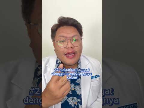 Tips Anti Panik Saat Tersengat Lebah!