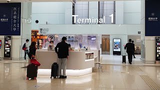 Download lagu Haneda Airport Terminal 1 | 羽田空港ターミナル1 | 【4K】 Walking in Tokyo Japan Haneda Airport T1 (Apr. 2022) mp3 Download lagu Haneda Airport Terminal 1 | 羽田空港ターミナル1 | 【4K】 Walking in Tokyo Japan Haneda Airport T1 (Apr. 2022) mp3