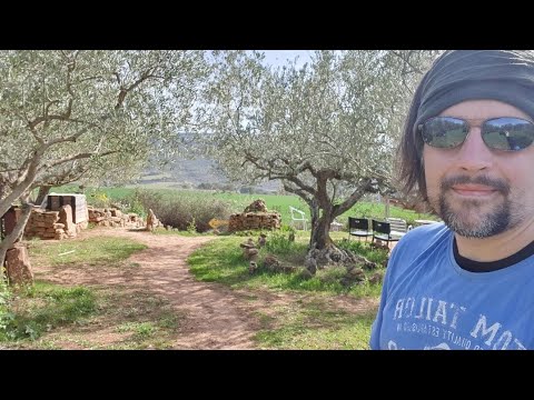 Jakobsweg 2023 VLOG Tag 5 | Puente la Reina - Estella | Der Camino entfaltet behutsam seine Magie
