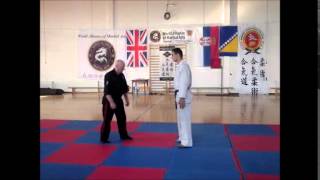 World Alliance of Martial Arts Seminar with Hanshi Steve Barnett- Serbia video