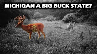 Could This Change Make Michigan A BIG BUCK STATE?!