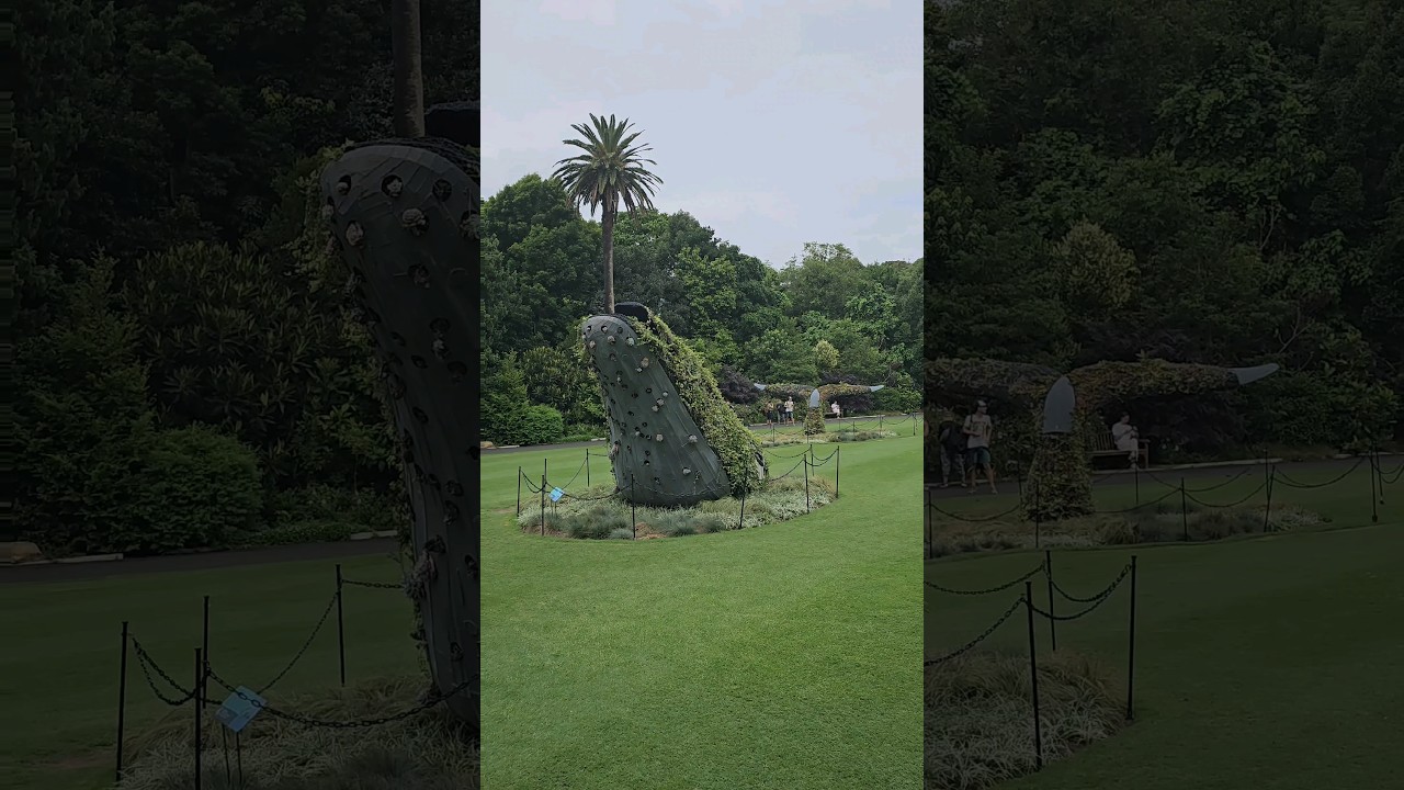 YouTube Short thumbnail