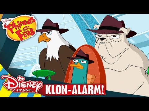 Sehe ich doppelt? | Phineas und Ferb