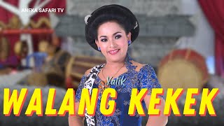 Download lagu Yatik - Walang Kekek - mp3 Download lagu Yatik - Walang Kekek - mp3