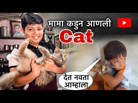 मामा कडुन आणली CAT 🐈 | आगरी VLOG