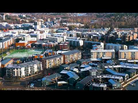 Silent Finland — From Autumn Colors to First Snow | Peaceful 4K Drone Film