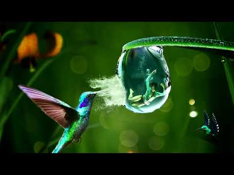 Save Me From Myself  -  Red Revision feat. Sven Karlsson