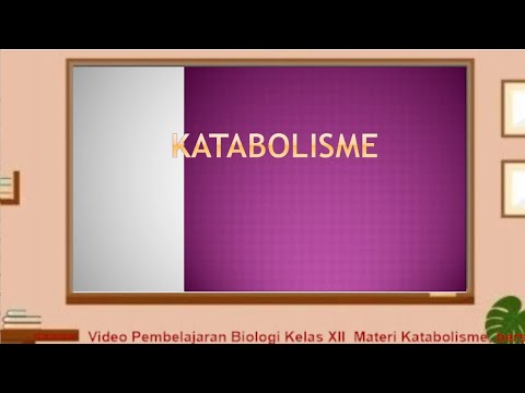 Video Pembelajaran Jaringan Pada Tumbuhan Kelas XI