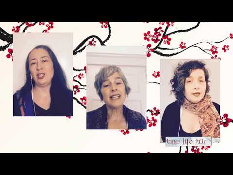 True Life Trio - Az Ti Postilam Šareni Čergi