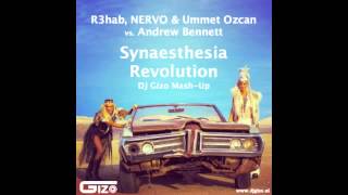 R3hab, NERVO & Ummet Ozcan vs. Andrew Bennett - Synaesthesia Revolution (DJ Gizo Mash-Up)