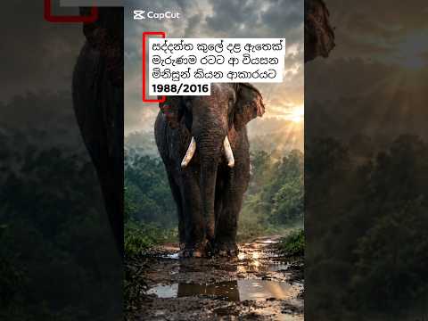 1988/2026 වෙනකම් 🙁😯
