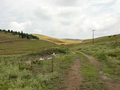 Battle of Cynoscephalae, 197 BC