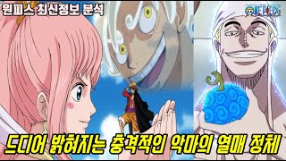 [원피스 최신정보 분석]드디어 밝혀지는 충격적인 떡밥 악마의 열매 고대병기 신의세계!?