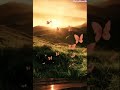 Ban Ke Titli Dil Uda Song Whatsapp Status L Shorts L WhatsappStatus