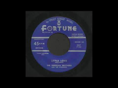 The Terrigan Brothers - Little Love - Rock & Roll 45