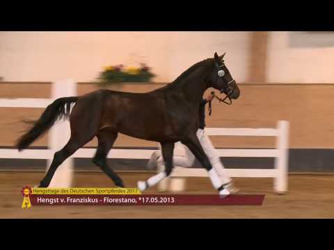 KN 27 v. Franziskus - Florestano