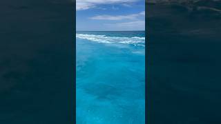 Download lagu Enya - Caribbean Blue mp3 Download lagu Enya - Caribbean Blue mp3