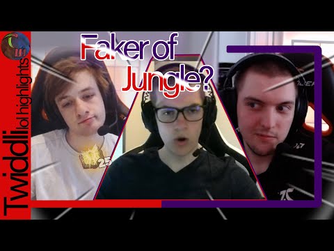 Nemesis + Selfmade VS Alphari | Faker of jungle? | Nasty Sylas p2