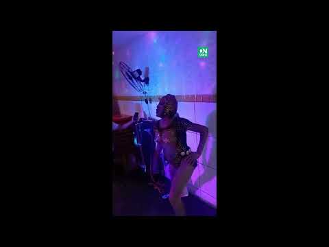 Cachorro caramelo ‘invade’ show de drag e 'performa' com ela no Centro de Fortaleza