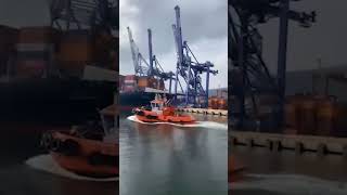 [情報] 陽明的船撞倒三台橋式起重機
