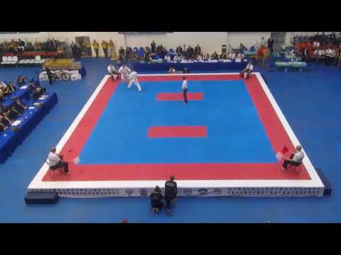 Чирков Андрей   Заринян Ашот. Полуфинал. Чемпионат России киокушинкай 2017