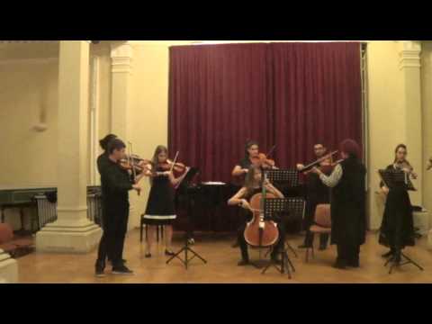 ΣΥΝΟΛΟ ΕΓΧΟΡΔΩΝ ΡΟΤΟΝΤΑ -  4 SEASONS  , SPRING , ALLEGRO