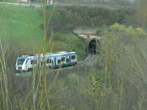 Minuetto in transito a Renaccio (1 )