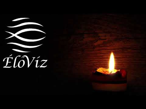 [ÉlőVíz] Száraz földből virág nyílik