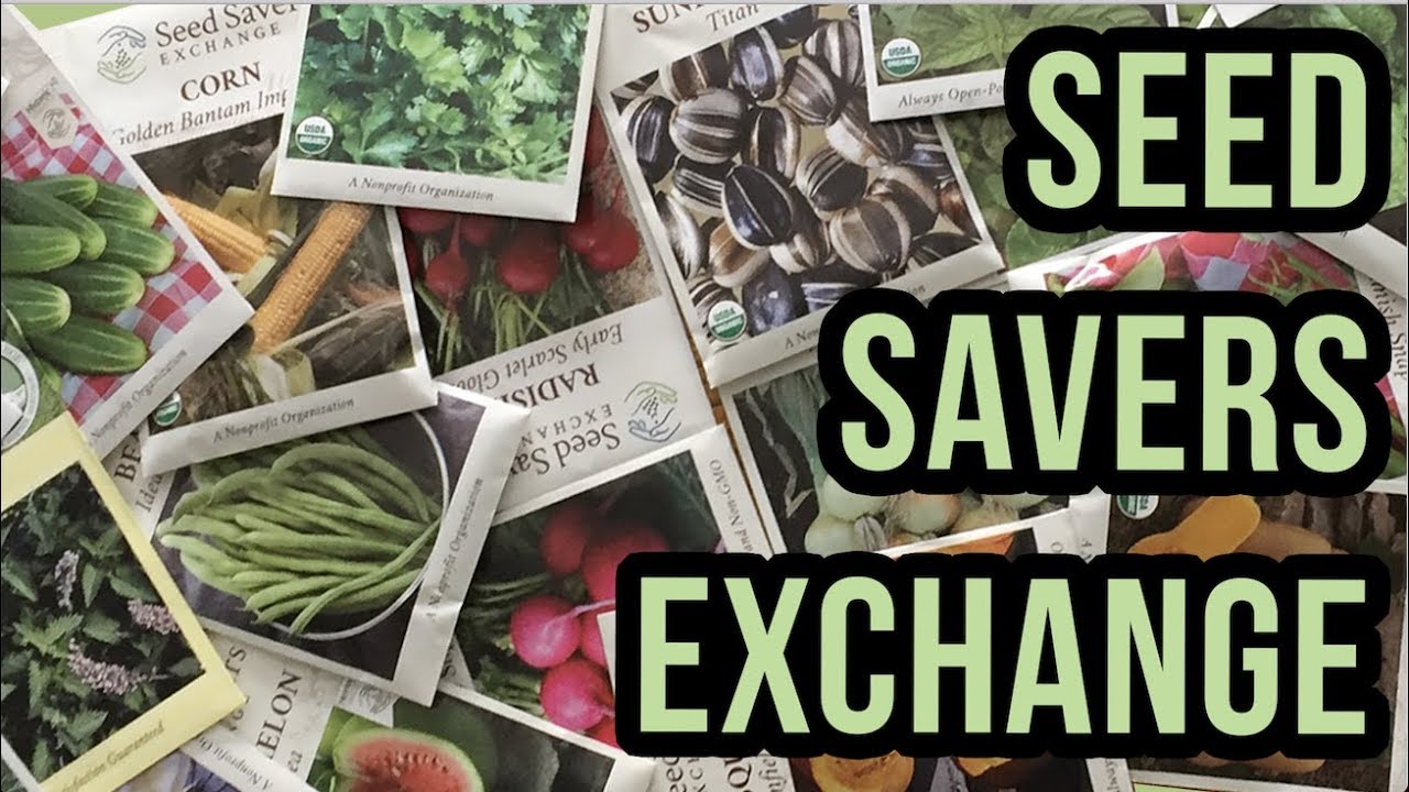 Seed Savers Exchange Seeds - Zone 5a Garden
