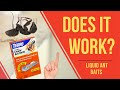 Stop Ants In Their Tracks With TERRO T300B Liquid Ant Killer