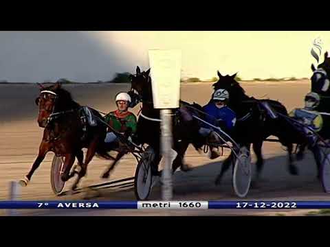 Aversa trotto 17 Dicembre 2022 - 7° Corsa