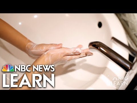 Get Healthy: Hygiene | NBC Learn