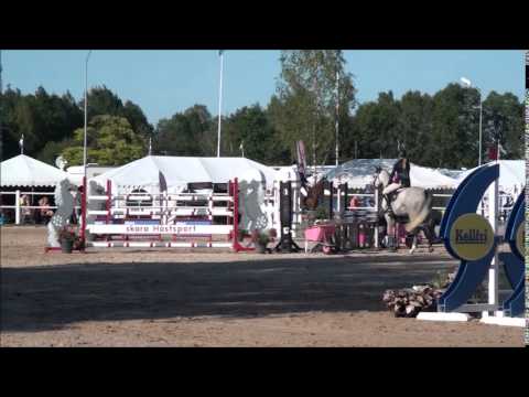 EPHorses - San Karel Appel (Champion of the Youngsters 2015)