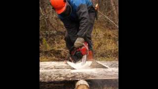 Don Huonot: Maanantai-aamun moottorisahamies