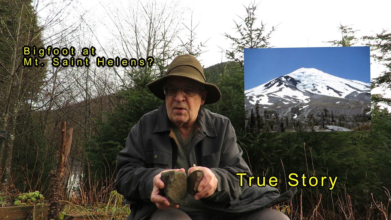 True Story. Bigfoot. Mt. Saint Helens. Toutle River. Harry Truman Lodge and 16 Cats. Rare photos.