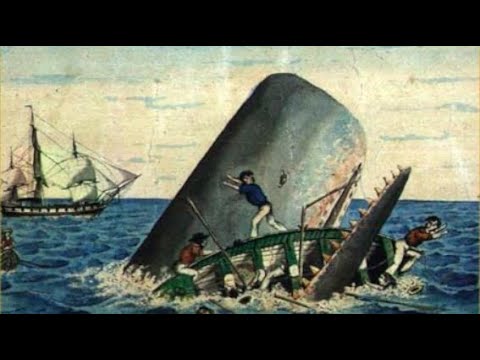 The Real Story That Inspired Moby Dick - The Sinking of the Essex