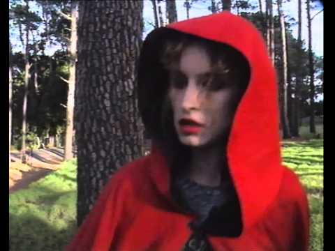 PIETER VAN DER LUGT - Voëlvry