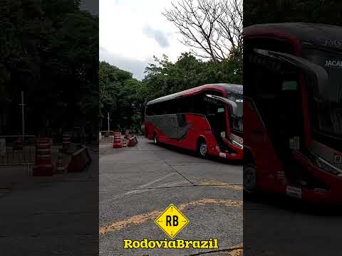 SP X JACAREÍ - G8 4X2 PÁSSARO MARROM #short #rodoviabrazil #bus #viagem #saopaulo #sp #onibus