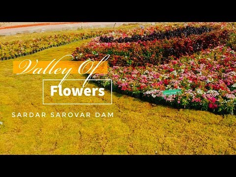 Valley Of Flowers | Sardar Sarovar Dam | Sneak Peek